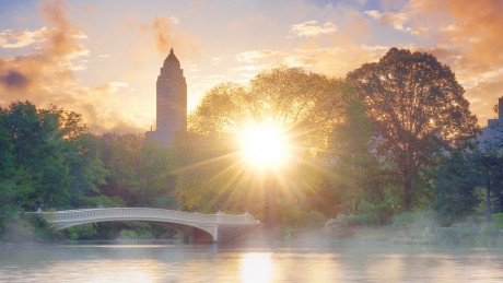 Central Park in morning
